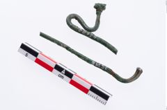 Foto von Bronzeschwanenhalsnadel (NHMW-PRAE-035778)